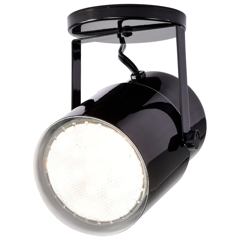 Nuvo Lighting SF77-394 One Light Plant Lamp, Black / Steel