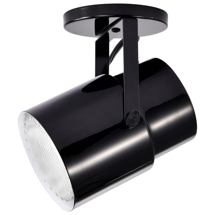 Nuvo Lighting SF77-394 One Light Plant Lamp, Black / Steel