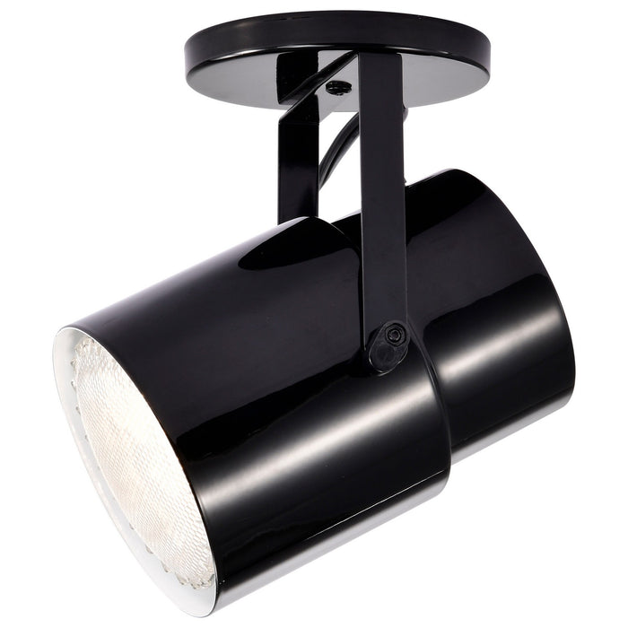 Nuvo Lighting SF77-394 One Light Plant Lamp, Black / Steel