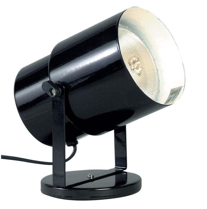 Nuvo Lighting SF77-394 One Light Plant Lamp, Black / Steel