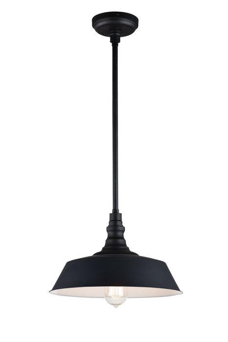 Matteo Lighting C58303DG One Light Pendant, Dark Grey