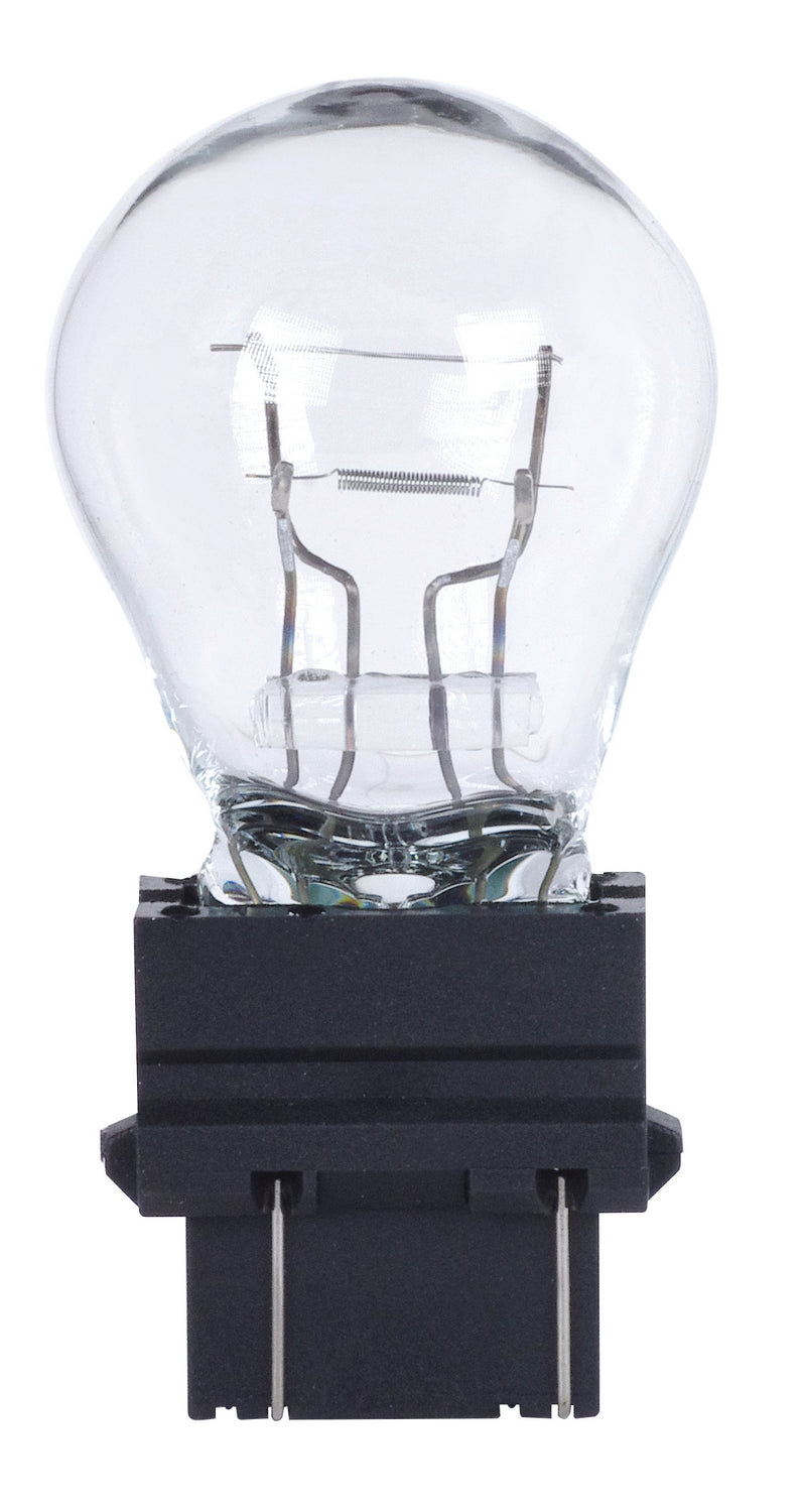 Satco S7118 Light Bulb, Clear