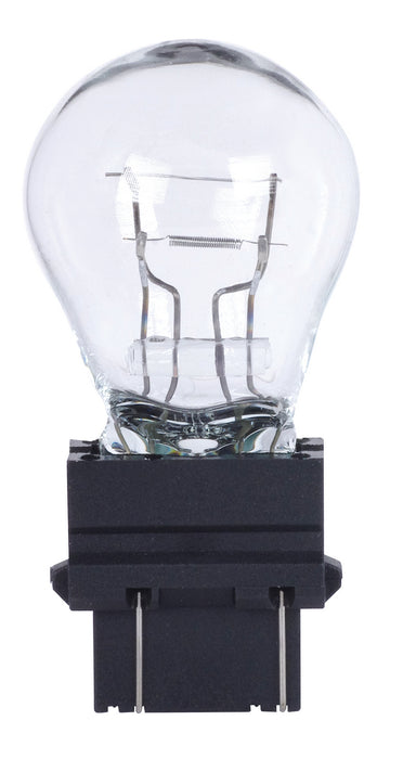 Satco S7118 Light Bulb, Clear