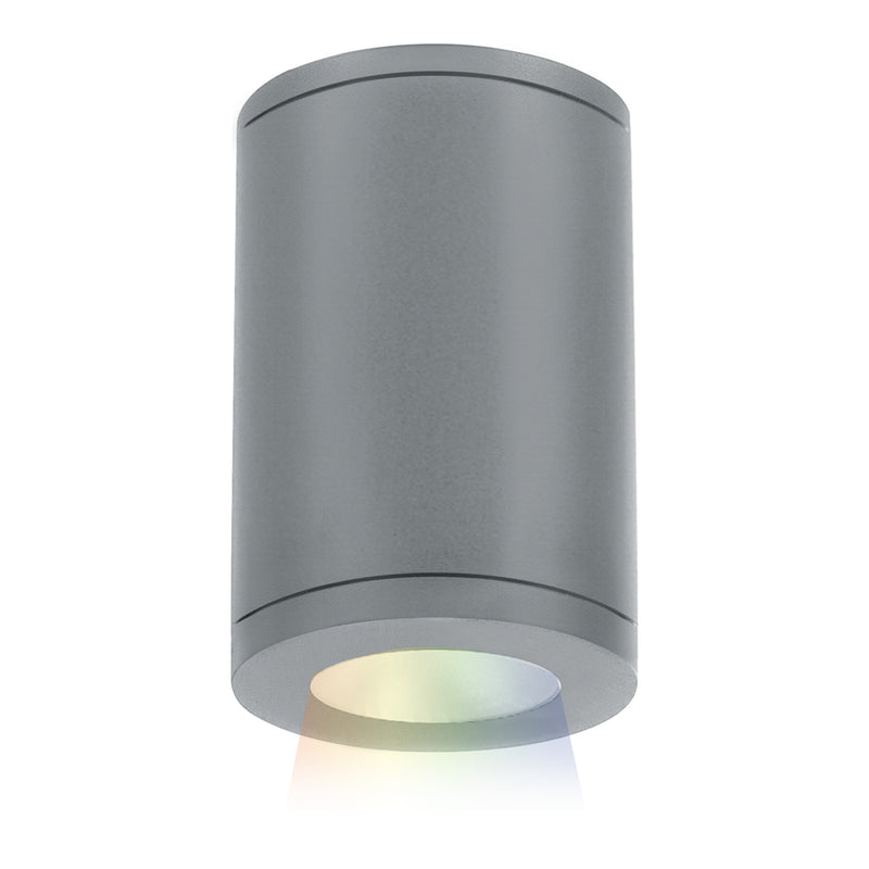 W.A.C. Lighting DS-CD05-N-CC-GH LED Flush Mount, Graphite