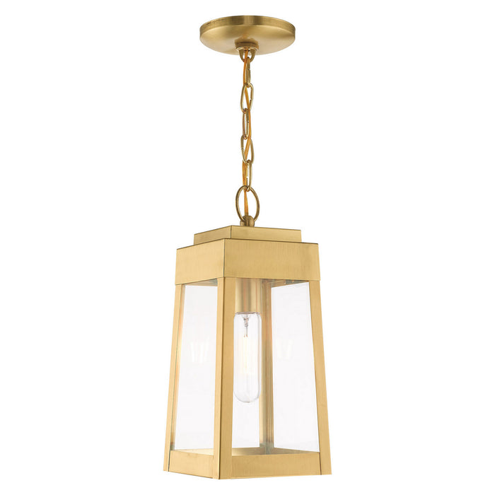 Livex Lighting 20854-12 One Light Outdoor Pendant, Satin Brass