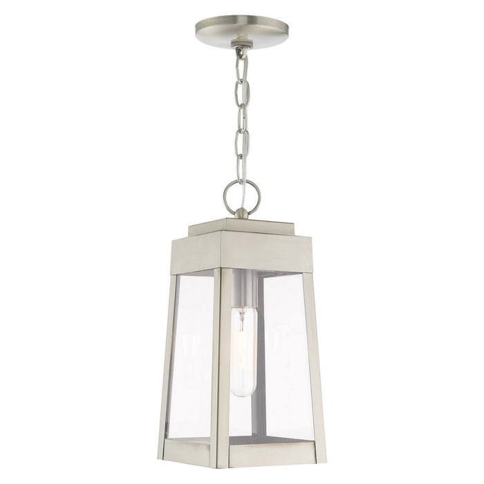 Livex Lighting 20854-91 One Light Outdoor Pendant, Brushed Nickel