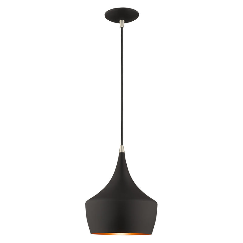 Livex Lighting 41186-04 One Light Mini Pendant, Black w/ Brushed Nickels