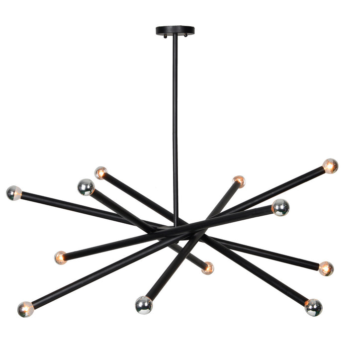 Renwil LPC4095 12 Light Ceiling Fixture, Matte Black