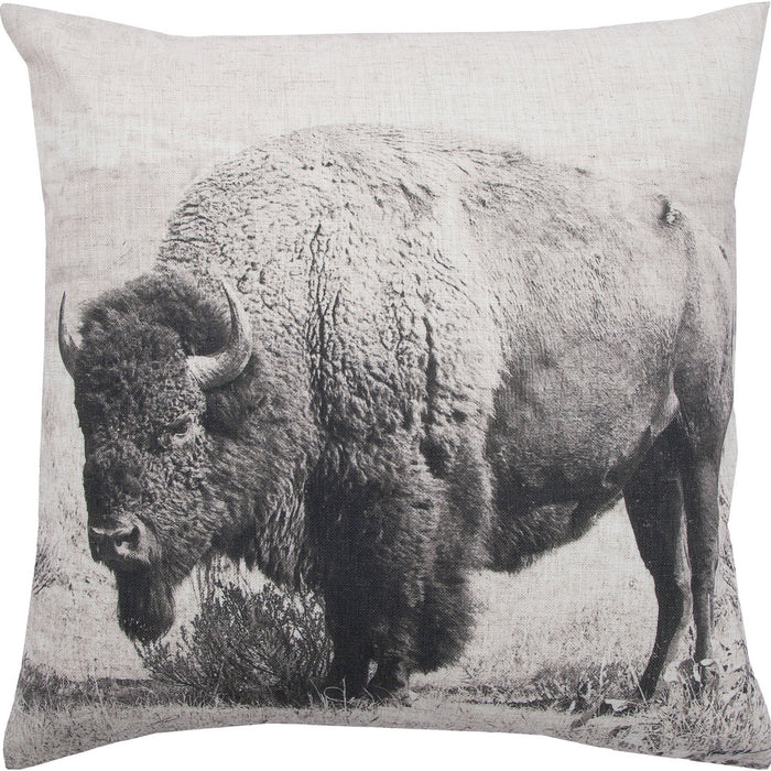 Renwil PWFL1011 Pillow, Multi-Color