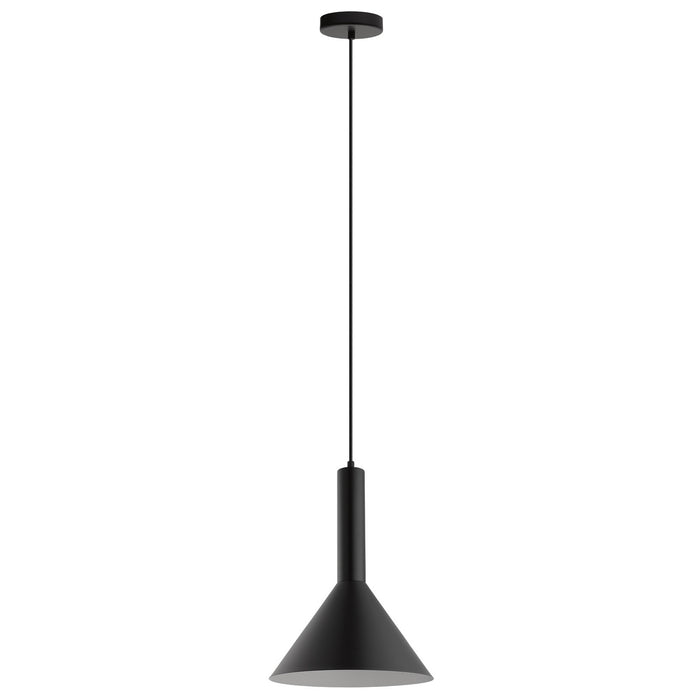 Eglo USA 62998A One Light Pendant, Matte Black