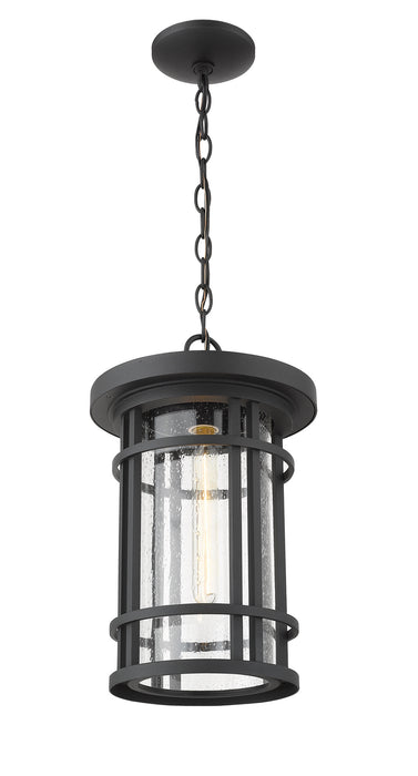 Z-Lite 570CHB-BK One Light Outdoor Chain Mount Ceiling Fixture, Black