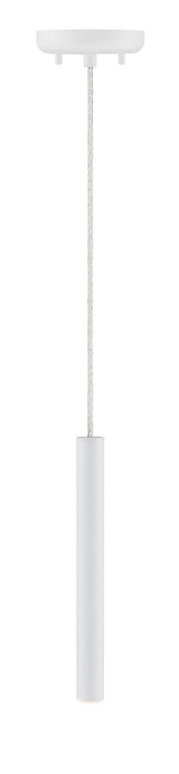 Z-Lite 917MP12-WH-LED LED Pendant, Matte White