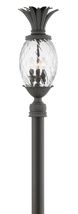 Hinkley 2121MB LED Outdoor Lantern, Museum Black