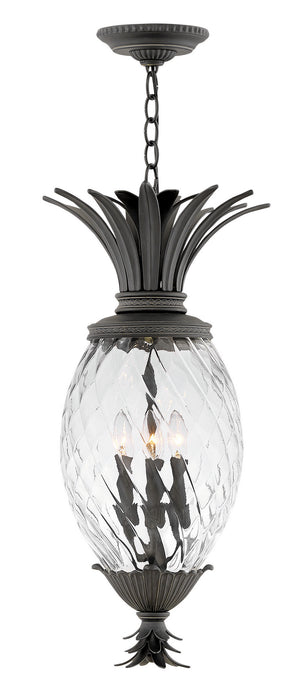Hinkley 2122MB LED Outdoor Lantern, Museum Black