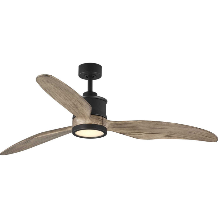 Progress Lighting P250002-143-30 60" Ceiling Fan, Graphite