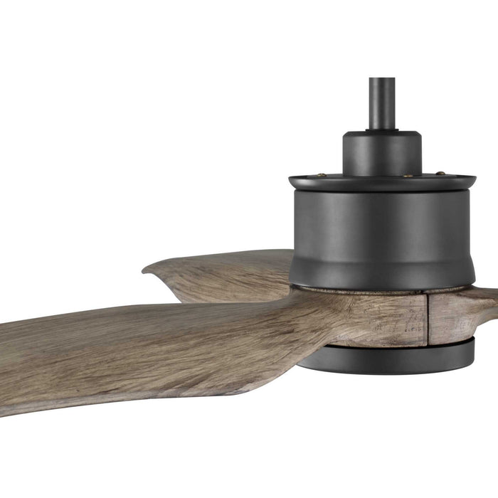 Progress Lighting P250002-143-30 60" Ceiling Fan, Graphite