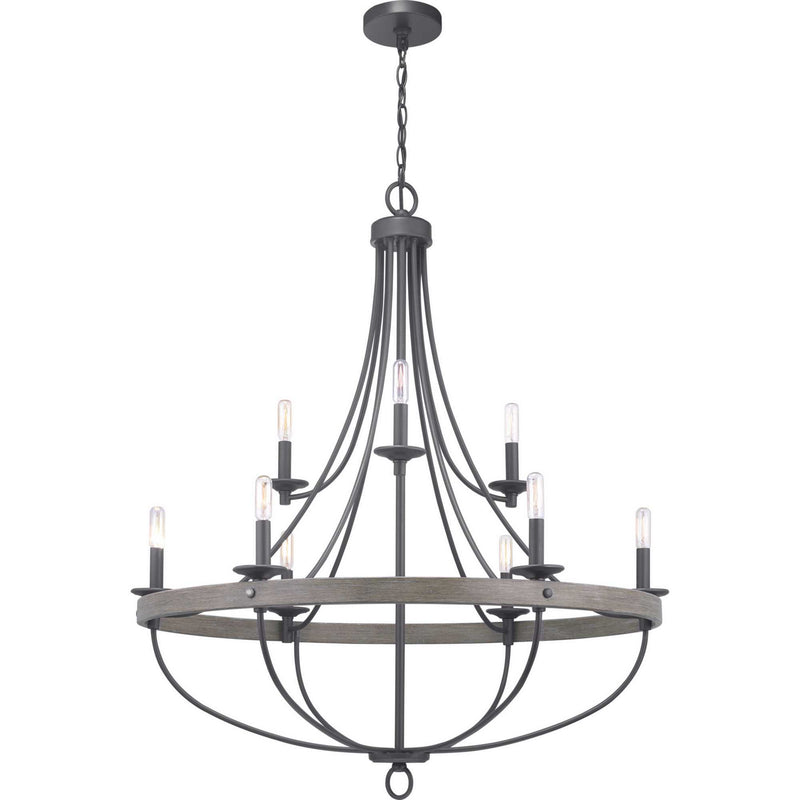 Progress Lighting P400159-143 Nine Light Chandelier, Graphite