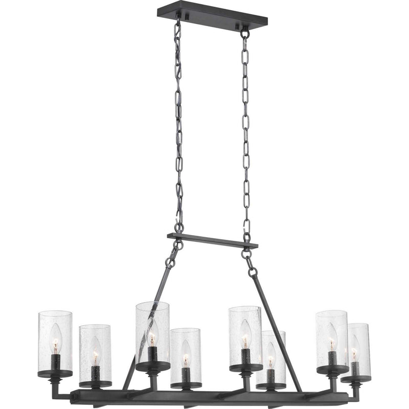Progress Lighting P400180-143 Eight Light Chandelier, Graphite