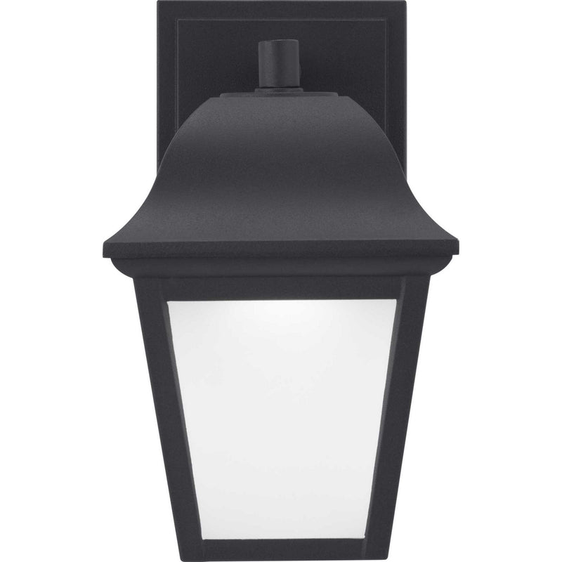 Progress Lighting P560136-031-30 LED Wall Lantern, Black