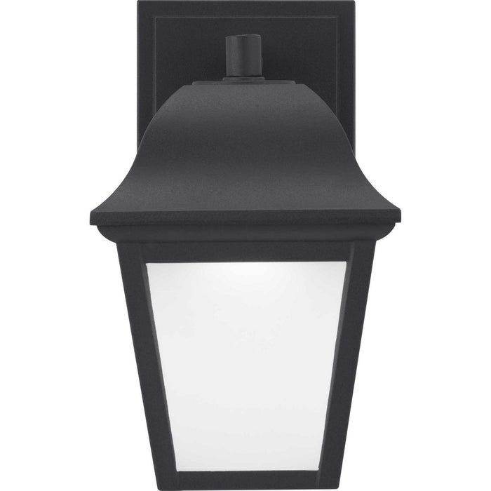 Progress Lighting P560136-031-30 LED Wall Lantern, Black
