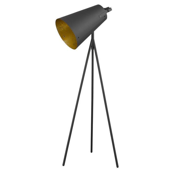 Acclaim Lighting TF70036BK One Light Floor Lamp, Matte Black