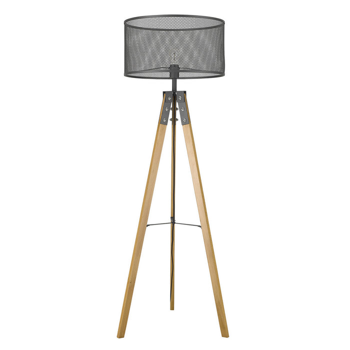 Acclaim Lighting TF70060BK One Light Floor Lamp, Matte Black