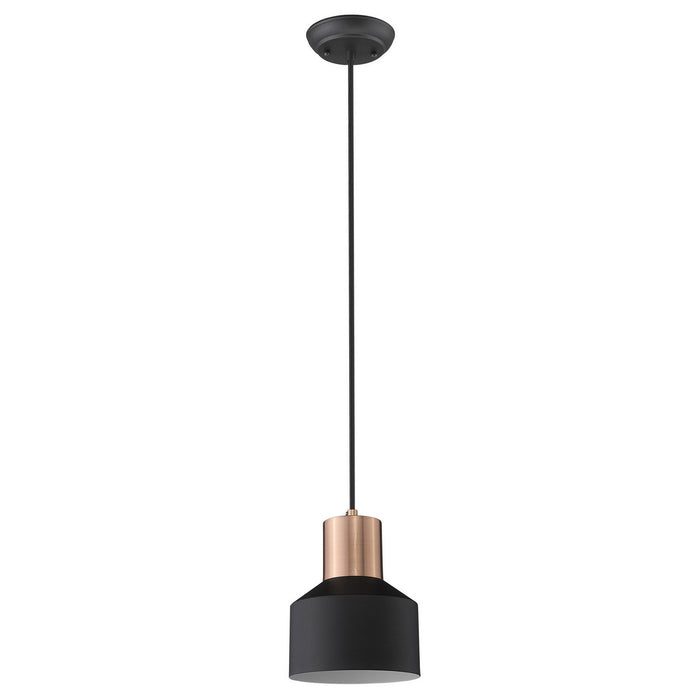 Acclaim Lighting TP30065BK One Light Pendant, Matte Black