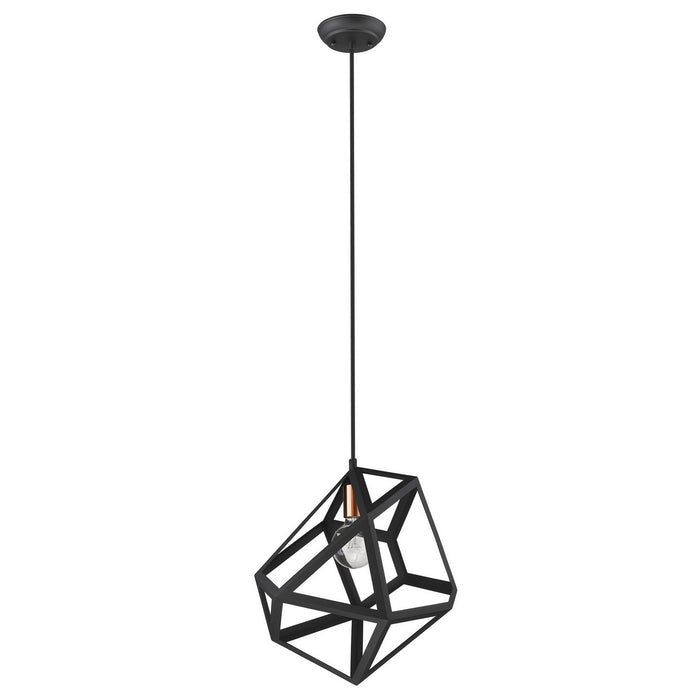 Acclaim Lighting TP30081BK One Light Pendant, Matte Black
