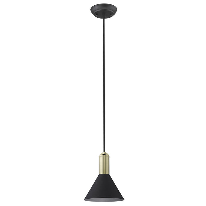 Acclaim Lighting TP30101BK One Light Pendant, Matte Black