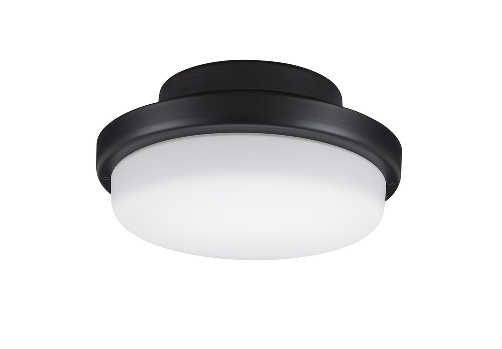 Fanimation LK8514BLW One Light Fan Light Kit, Black