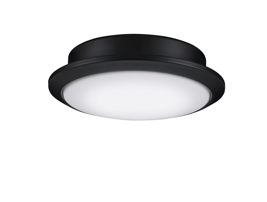 Fanimation LK8530BL One Light Fan Light Kit, Black