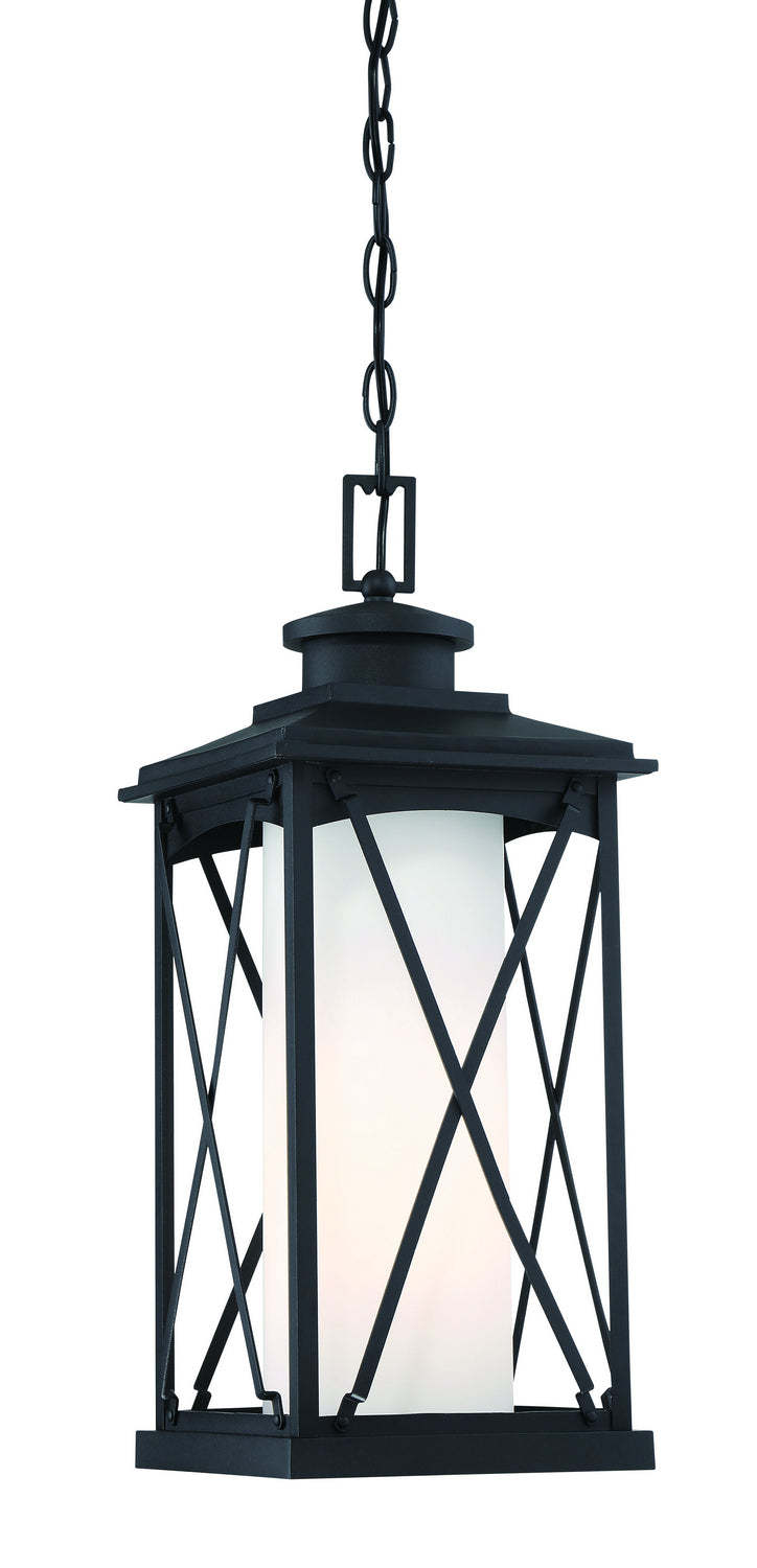 Minka-Lavery 72684-66 One Light Chain Hung Outdoor, Coal