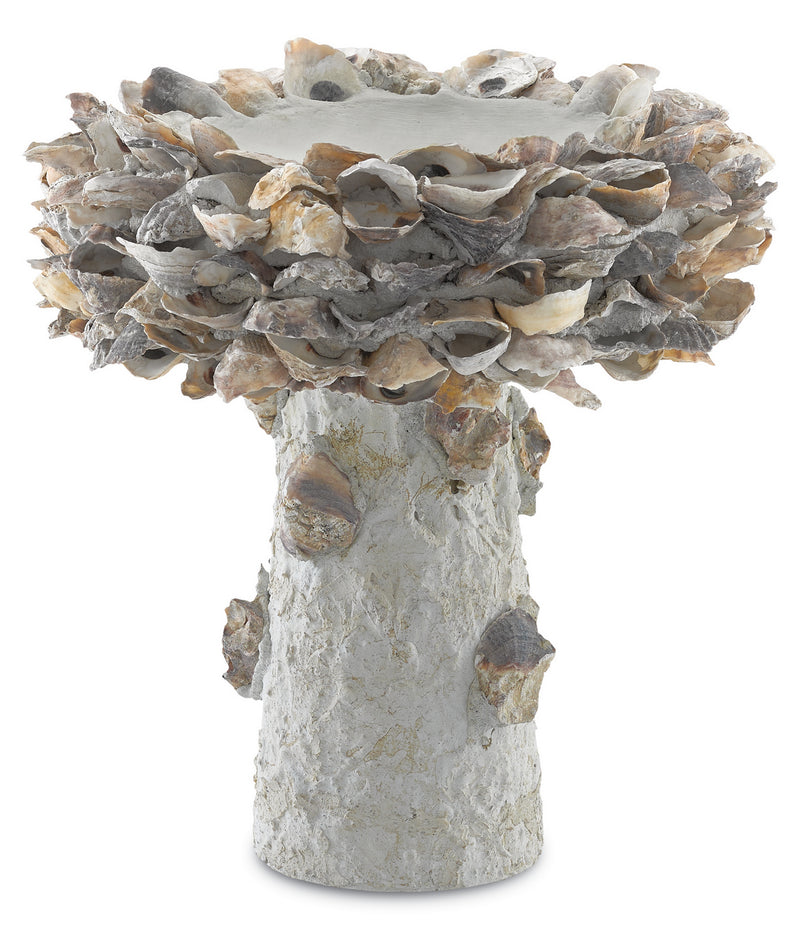 Currey and Company 1200-0052 Bird Bath, Portland / Natural