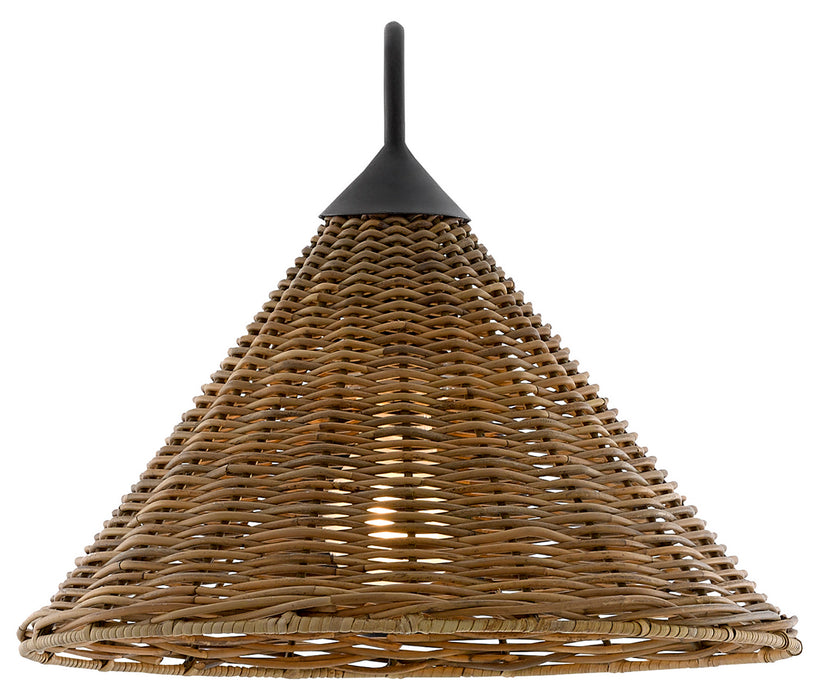 Currey and Company 5000-0139 One Light Wall Sconce, Blacksmith/Natural