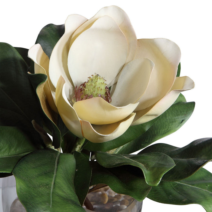 Uttermost 60144 Magnolia Accent, Clear
