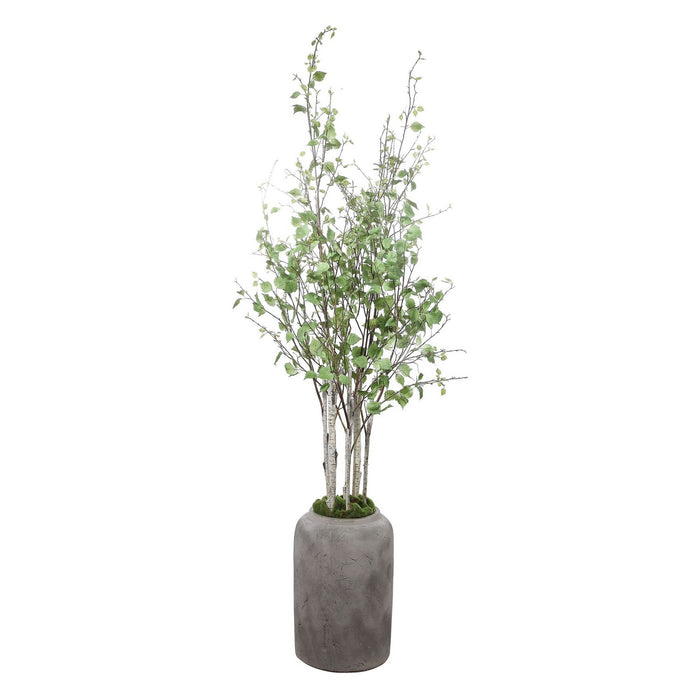 Uttermost 60146 River Birch, Aged Stone