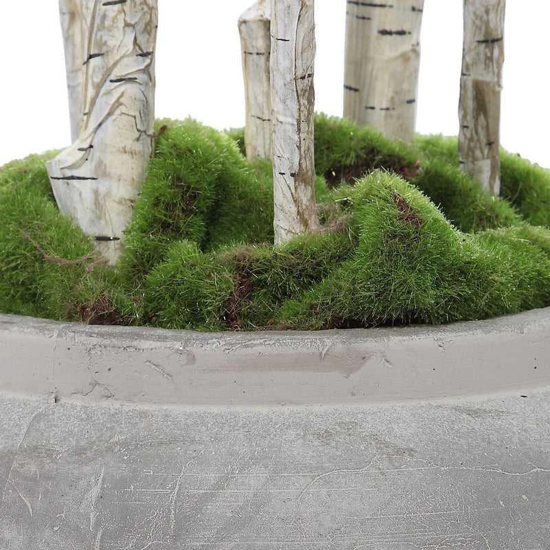 Uttermost 60146 River Birch, Aged Stone