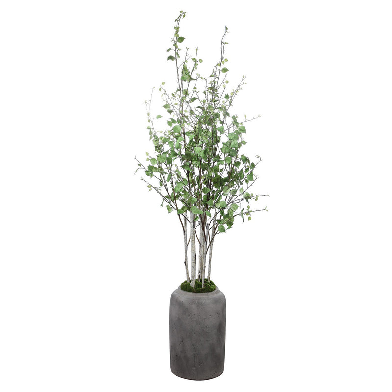 Uttermost 60146 River Birch, Aged Stone