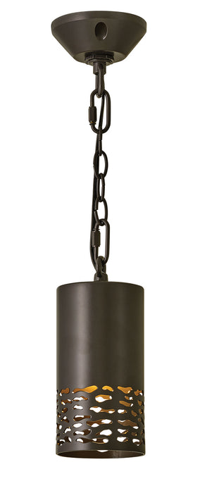 Hinkley 1512BZ LED Landscape, Bronze