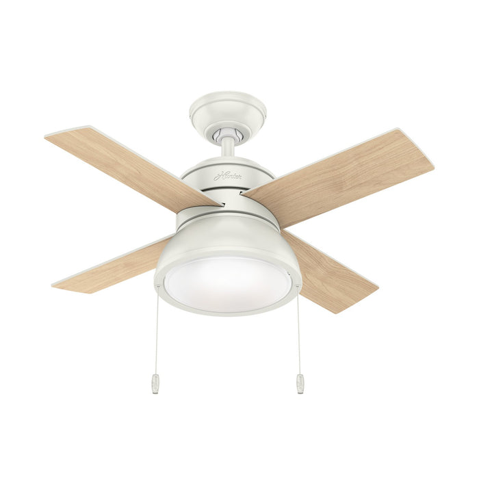 Hunter 59385 36" Ceiling Fan, Fresh White