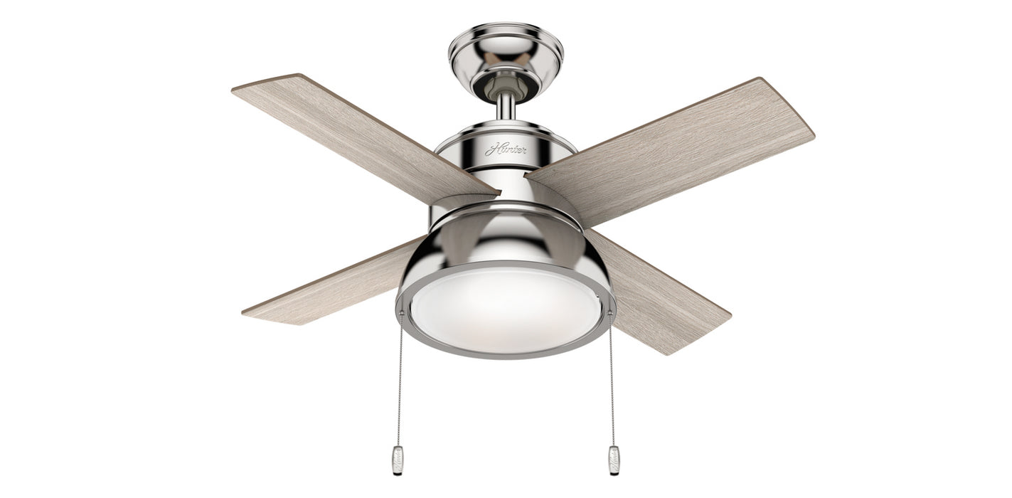Hunter 59386 36" Ceiling Fan, Polished Nickel