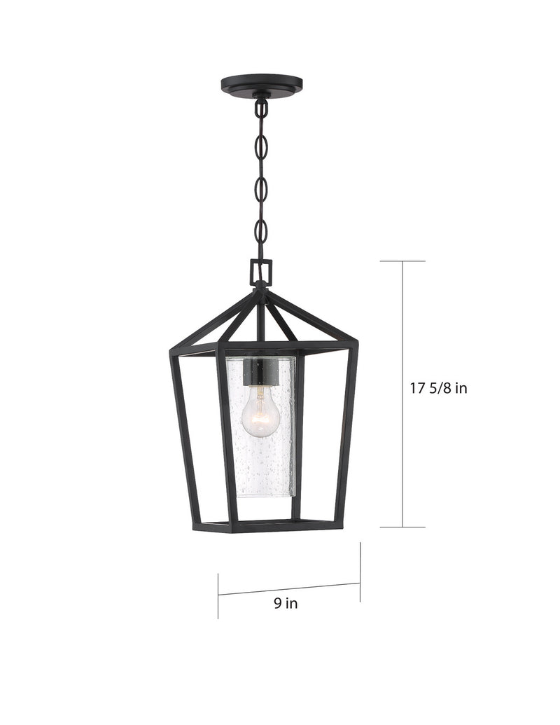 Nuvo Lighting 60-6594 One Light Hanging Lantern, Matte Black
