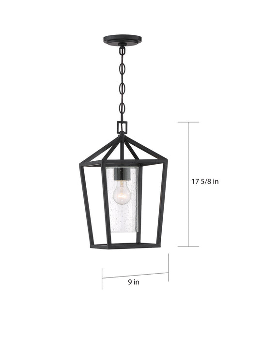 Nuvo Lighting 60-6594 One Light Hanging Lantern, Matte Black