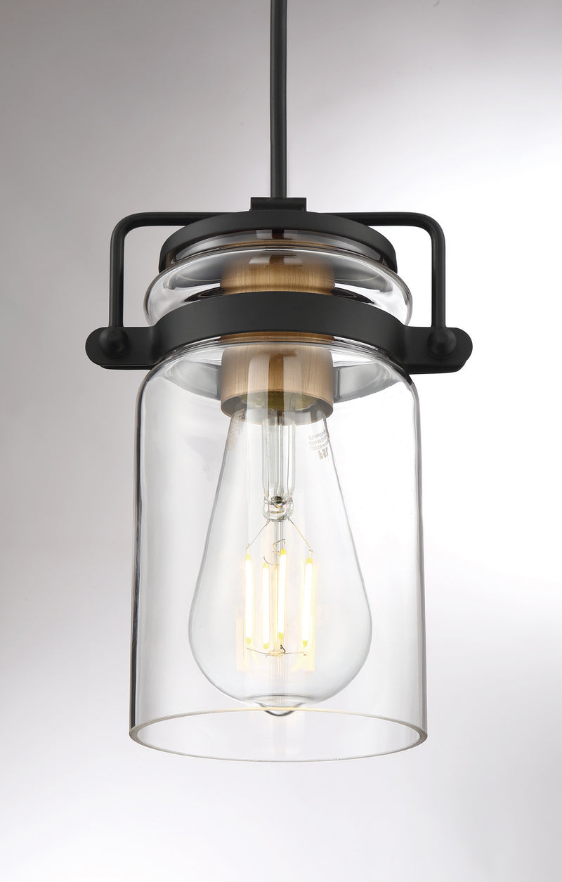 Nuvo Lighting 60-6733 One Light Mini Pendant, Black