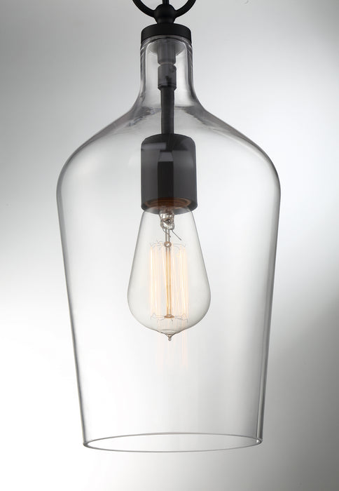Nuvo Lighting 60-6749 One Light Pendant, Matte Black / Clear Glass
