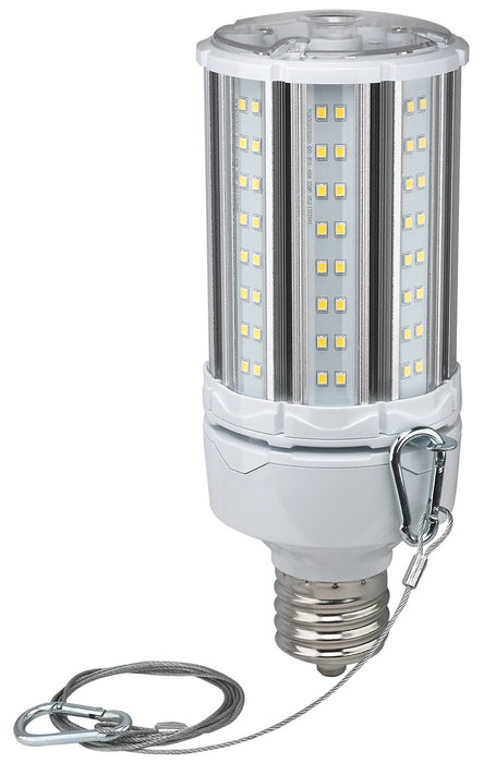 Satco S39393 Light Bulb, Clear