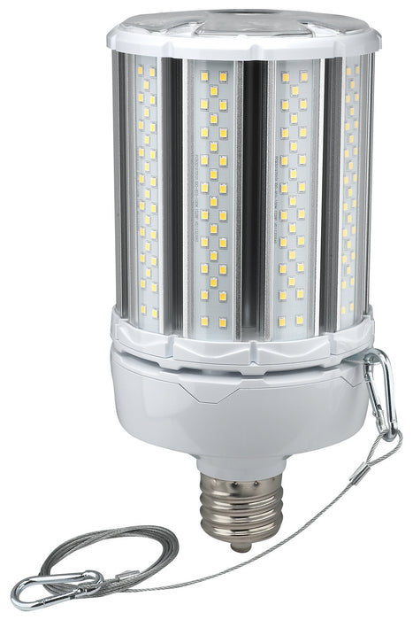 Satco S39676 Light Bulb, Clear