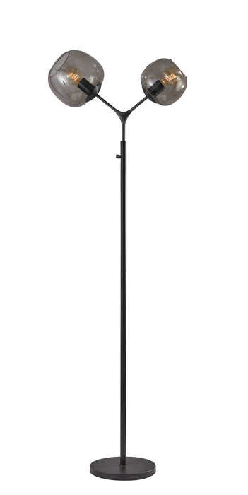 Adesso Home 3439-01 Two Light Floor Lamp, Matte Black