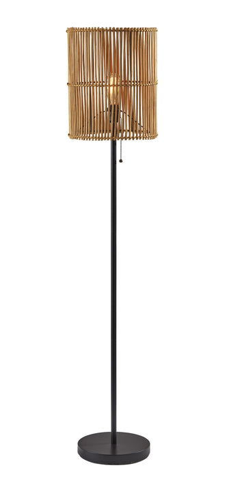 Adesso Home 4198-12 Floor Lamp, Dark Bronze Painted