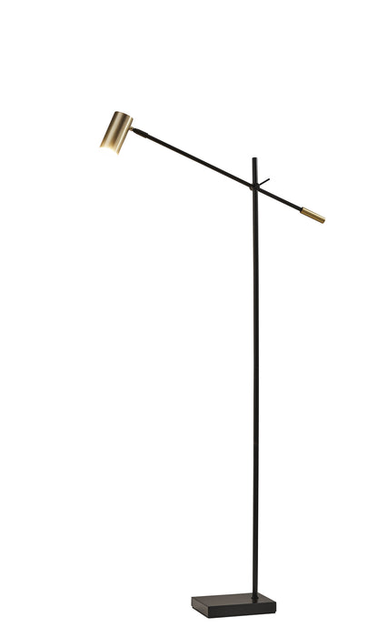 Adesso Home 4218-01 LED Floor Lamp, Black